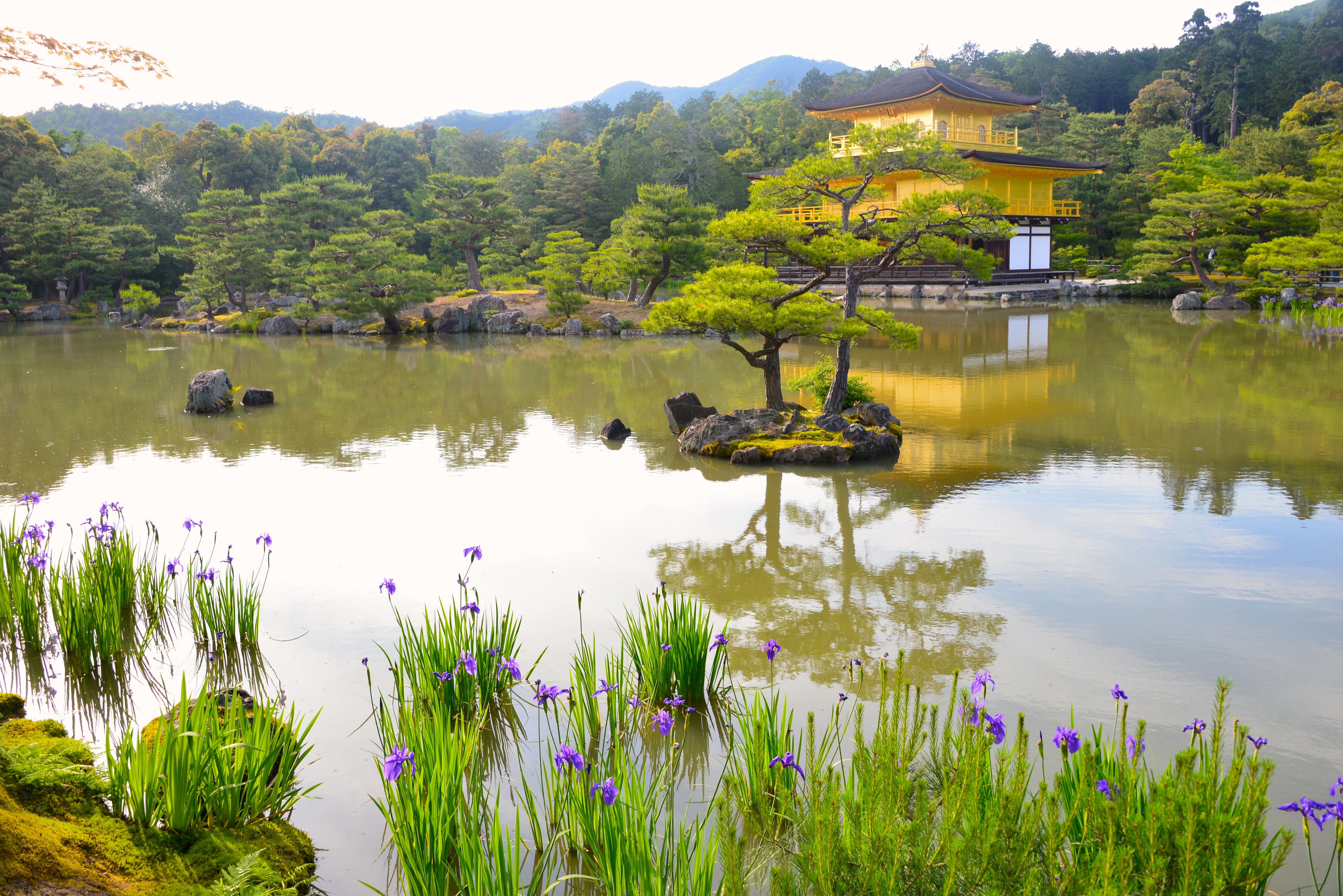 Le Pavillon d'Or, Kyoto mai 2015